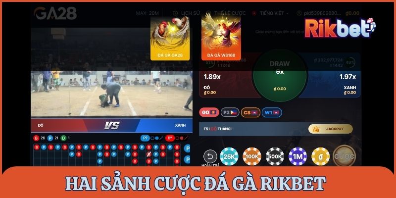 Hai sảnh cược đá gà rikbet