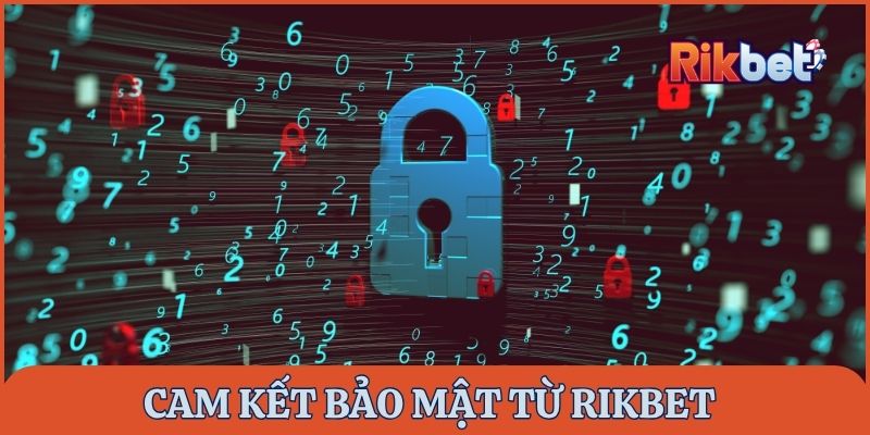 Cam kết bảo mật thông tin từ Rikbet dành cho tất cả thành viên