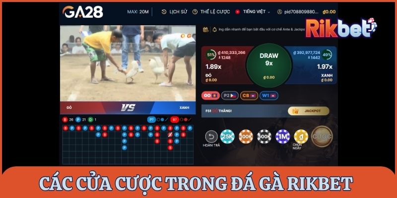 Các cửa cược đá gà rikbet